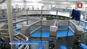 Оборудование для фермы DeLaval. ? Молочно - товарная ферма. Проектирование, монтаж и наладка