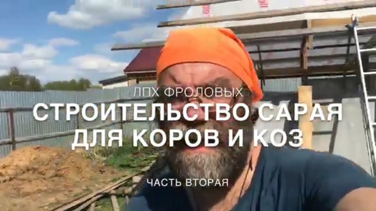 Строительство сарая, коровника-козовника своими руками в ЛПХ Фроловых - Часть 2