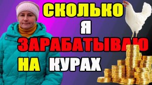 Сколько я зарабатываю на курах.