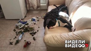 Очаровательный стаффорд. Видели видео? Фрагмент выпуска от 06.09.2020