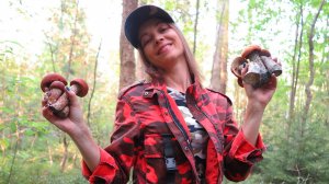 ТИХАЯ ОХОТА в СТРАННОМ ЛЕСУ – Грибники в Подмосковье нашли лес где грибы растут даже во время засухи