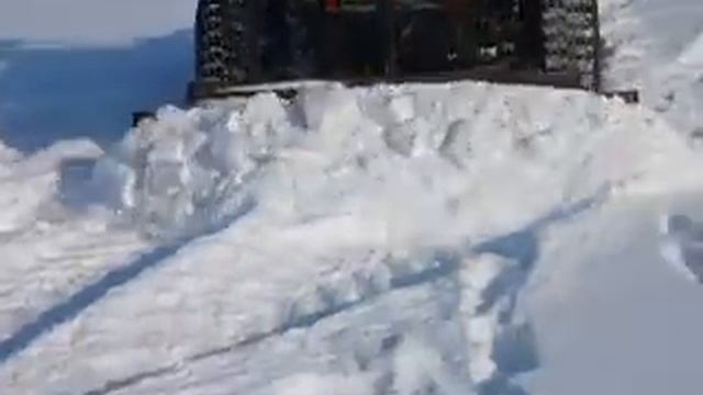 бизон зимой смотреть онлайн