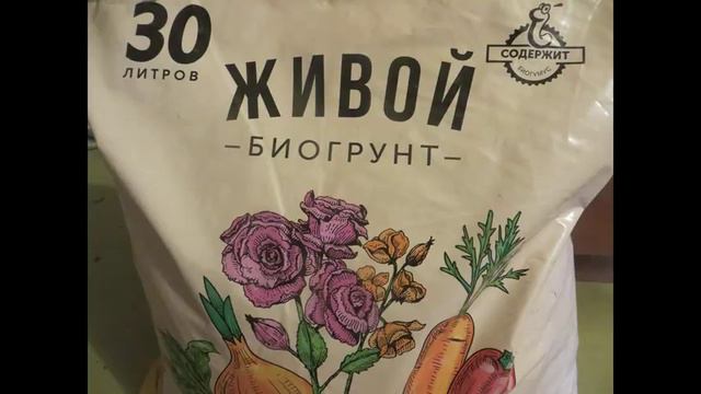 Второй (мартовский) посев петунии и статицы в другой грунт. смотреть онлайн