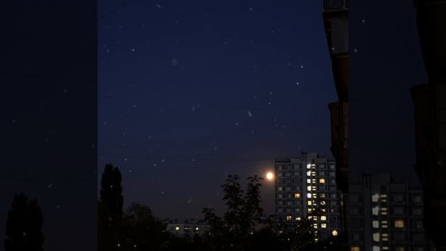 Пилигрим смотреть онлайн