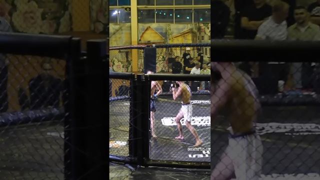 MMA. Round 3. Volga Fighting-10