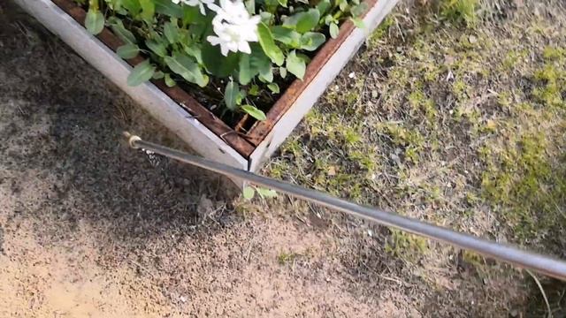 Средство для борьбы с муравьями I «Медилис-ЦИПЕР» смотреть онлайн