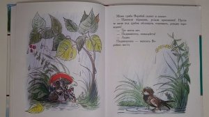 Под грибом. Сутеев.