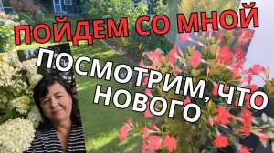 ? Добро пожаловать в мой цветущий рай в позднем лете! ? Просто Мария