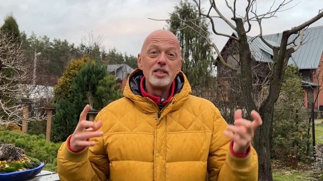 Мастер-класс по визуализации будущего образа дерева смотреть онлайн