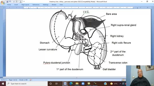 Anatomy GIT Module in Arabic 27 ( Liver, part 1 ) , by Dr, Wahdan смотреть онлайн