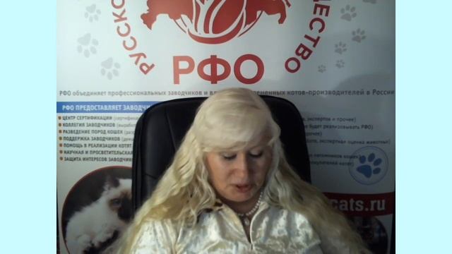 Приобретение породистого котенка.
