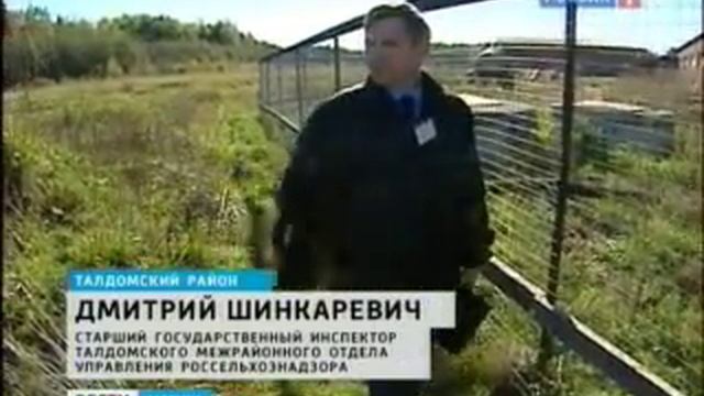Свиноферма в Подмосквовье