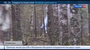 История американской интервенции на Русском Севере в 1918 году