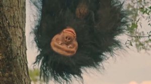 Среди долгожителей НЕТ вегетарианцев, сыроедов или фруктоедов!