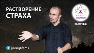 Научиться жить без страхов. Школа Долгой Жизни Михаила Советова. Выпуск 8
