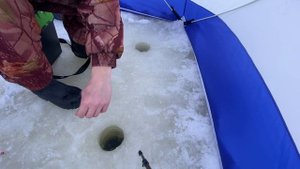 Зимняя рыбалка. Попался царь водоема