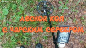 Лесной коп с царским серебром
