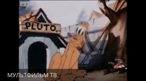 МУЛЬТФИЛЬМЫ ДИСНЕЯ! МУЛЬТИКИ 2015! Cartoons for children! Cartoons 2016! МУЛЬТЫ ДЛЯ ДЕТЕЙ#6