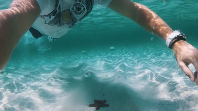 My Trip to Diani Beach смотреть онлайн