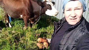 Буду хранить ОВОЩИ во МХУ!