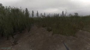 STALKER ANOMALY 1.5.0 / ПРОХОЖДЕНИЕ ЗА "ЧИСТОЕ НЕБО" #2/ Тайники на Болотах