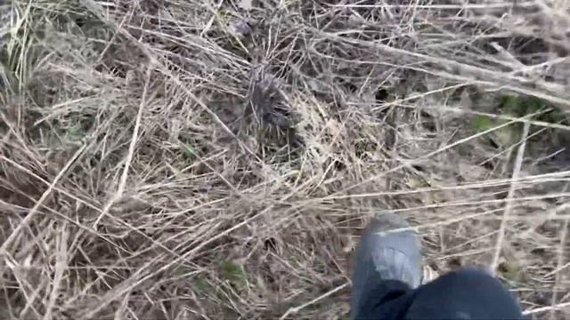 Подстрелил Ворона смотреть онлайн