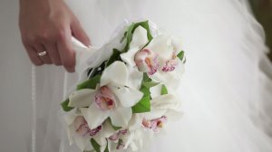 Денис & Евгения (Свадебный клип)