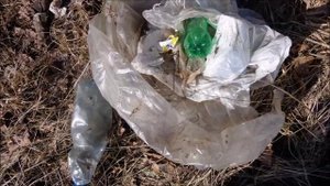 Где добываю Мульчу весной.