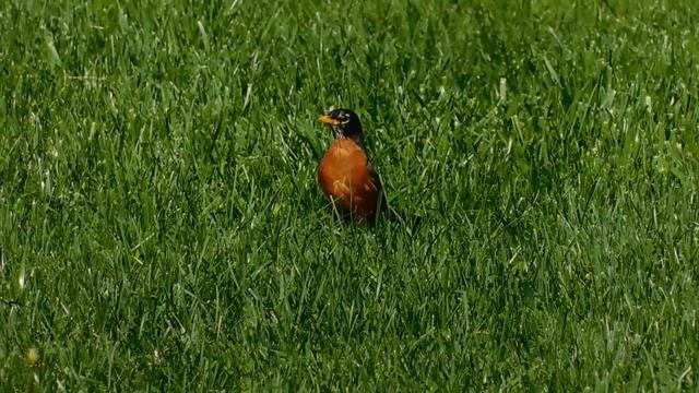 Nikon Coolpix B500 Test смотреть онлайн