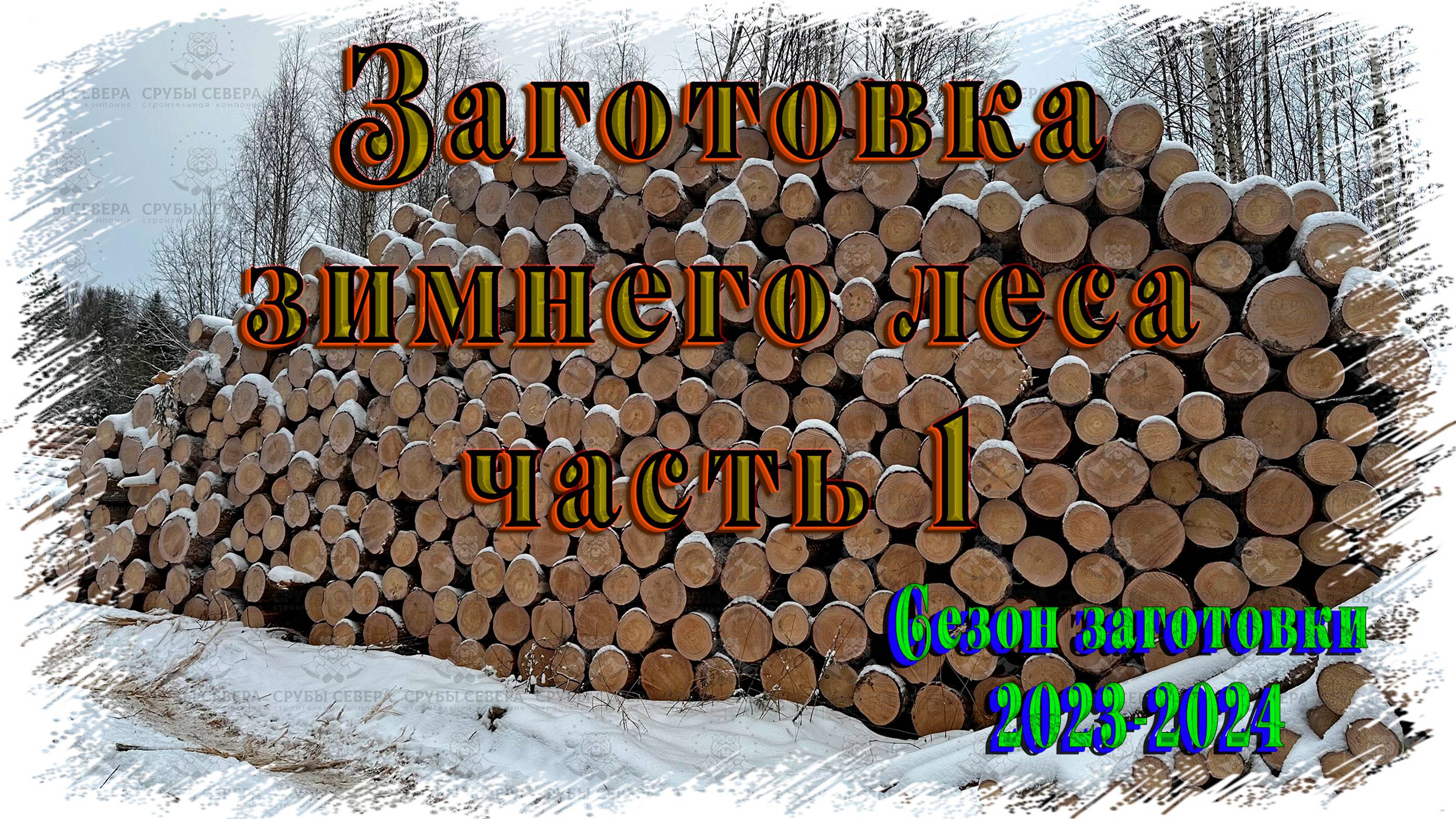 Заготовка зимнего леса сезон 2023-2024 - СК "Срубы Севера"