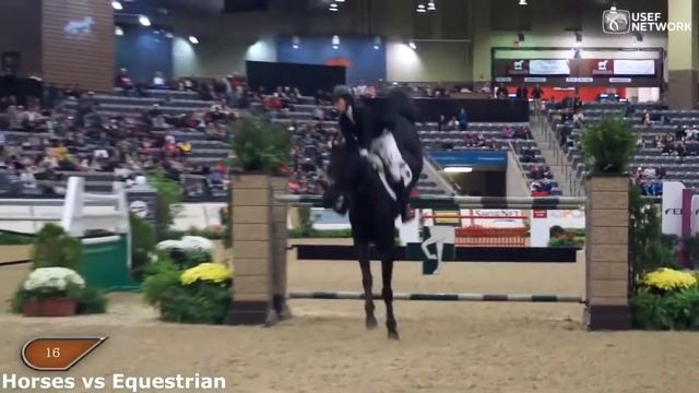 Конкур - моя жизнь. Прыжок - моя стихия/Competition is my life. Jump is my element. смотреть онлайн