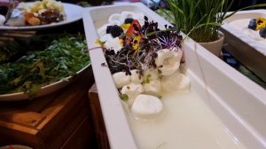 Дубай 2024 март Дубай Молл Бурж Халифа Фонтаны обзор