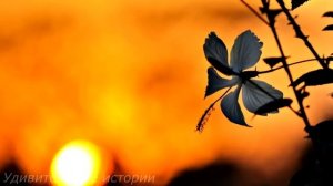 "Я же лучше, чем твоя жена" - Маша услышала слова любовницы мужа и уже готовила им сюрприз...