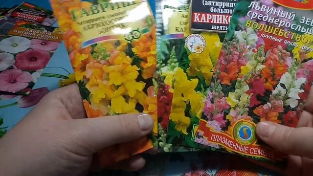 ОБЗОР СЕМЯН НЕПРИХОТЛИВЫХ ОДНОЛЕТНИХ ЦВЕТОВ 2020 смотреть онлайн