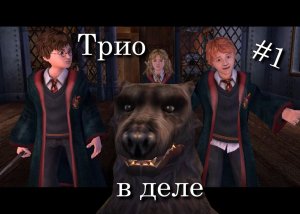 Гарри Поттер и Узник Азкабана - Трио в деле #1