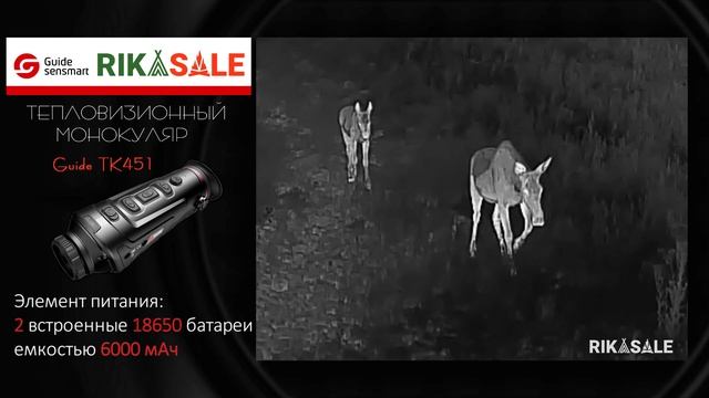Тепловизор GUIDE TK451 видео из леса