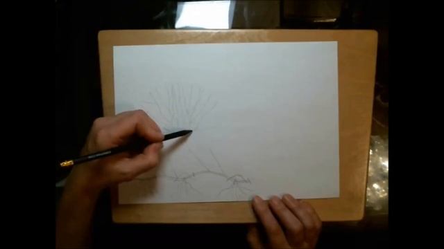 размножение спиреи с помощью отводок и деления куста смотреть онлайн