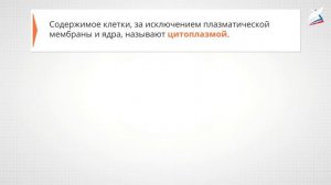 Цитология – наука о клетке. Клеточная теория. Немембранные органоиды клетки