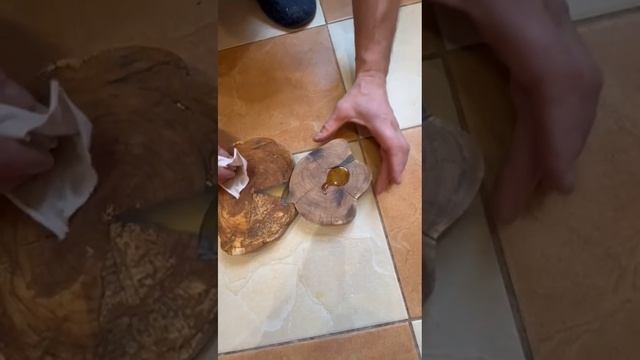 Яблоня