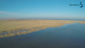 семинар Алексея Шанина часть 1