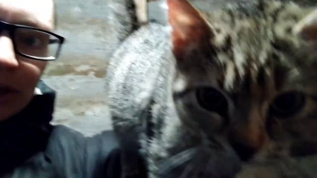 Кролики подложили нам свинью! смотреть онлайн