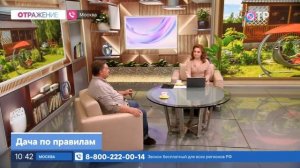 Дачные страшилки и реальная жизнь в СНТ