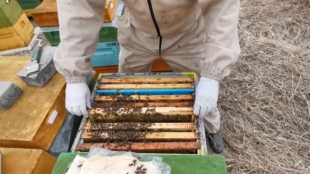 Миролюбие или злобливость (оценка) смотреть онлайн