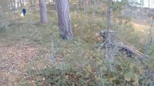 Онежское озеро поездка на машине