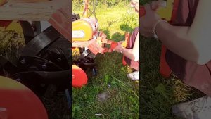 мотоблок Салют 100, для женщин)))