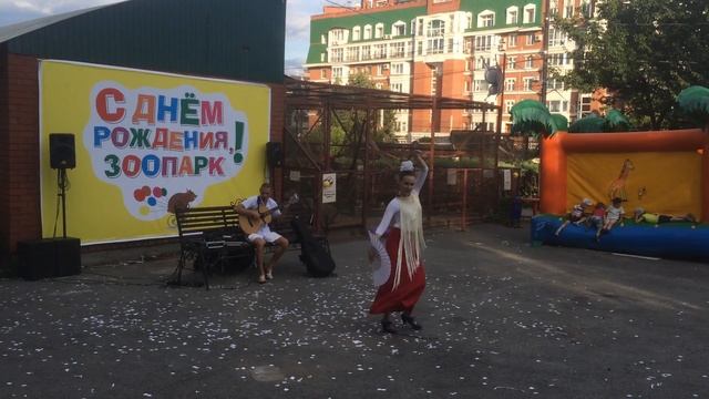 Фламенко под испанскую гитару на Дне рождения зоопарка смотреть онлайн