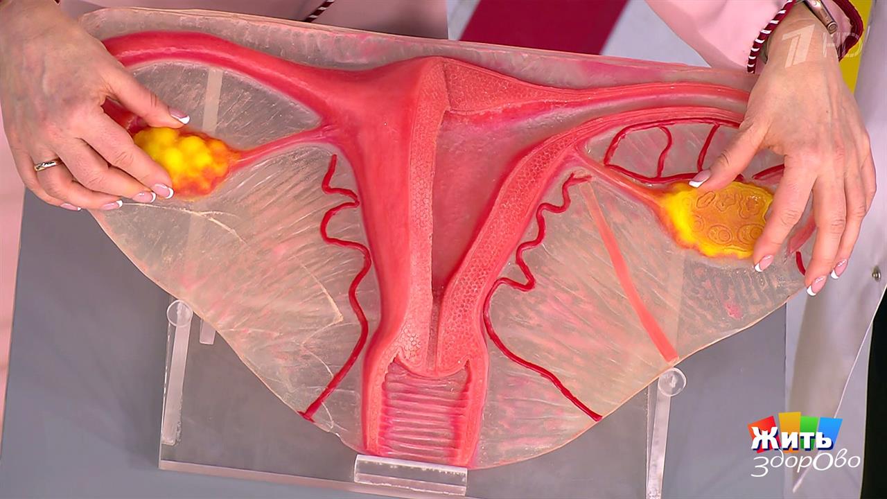 удалены яичники матка испытала оргазм фото 119