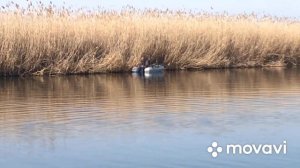 Рыбалка в Астрахани 2021 в апреле. Жерех, сазан, щука, окунь и куча удовольствия.