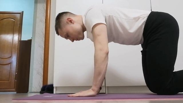 упражнение №6 из большой тройки МакГилла, на четвереньках, нога и рука вверх