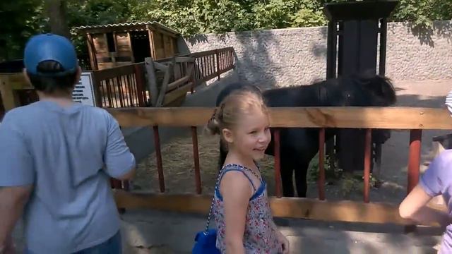 "Казкова диброва" 28-05-2014 2-Б класс смотреть онлайн